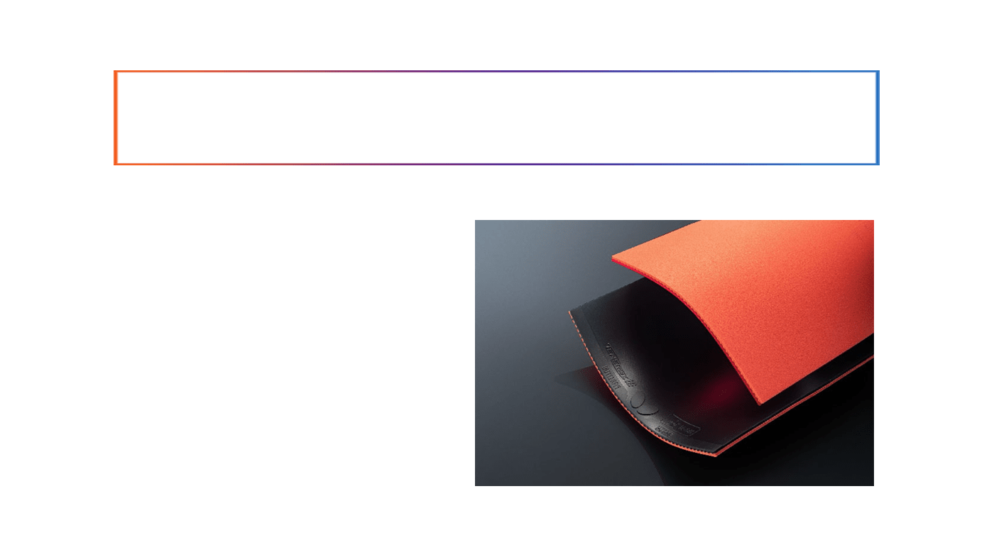 Spring Sponge_TH
