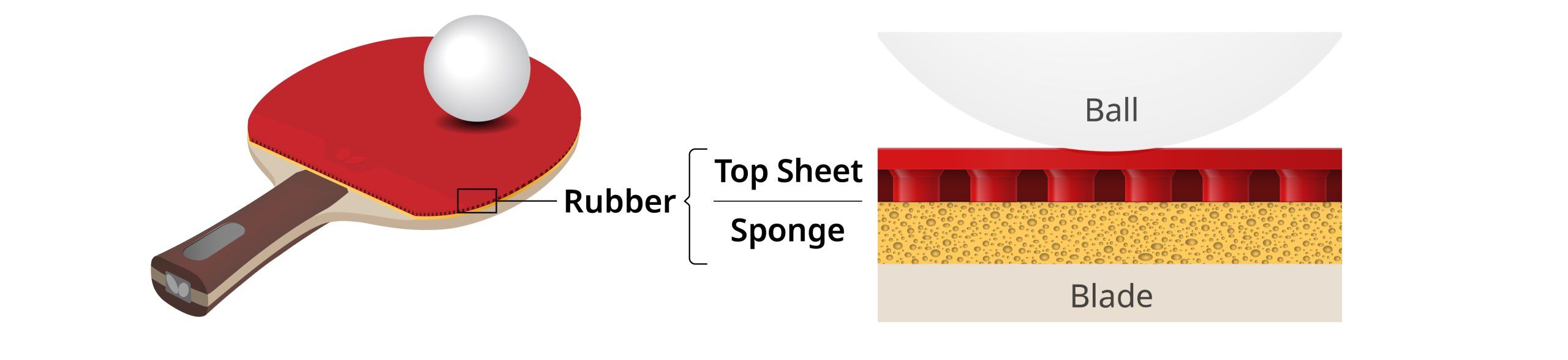 rb-fig01-en